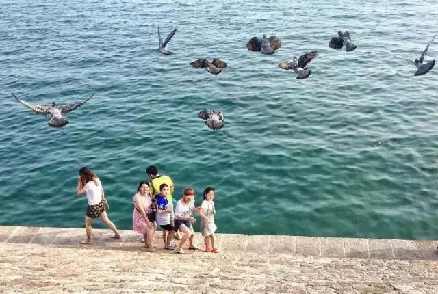 优秀手机摄影作品的五个要素,手机拍的作品