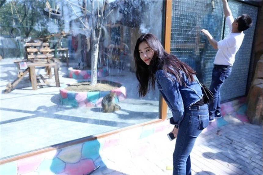 中韩合作新剧,中韩合拍的网剧有哪些