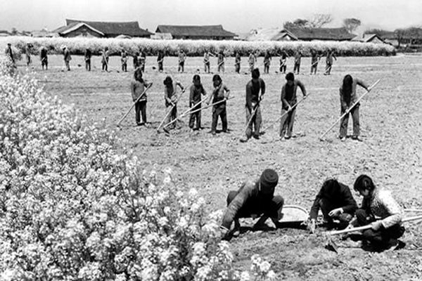 土地集体所有是怎么形成的,国有土地变成集体的