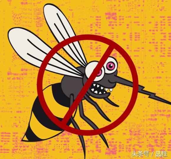 为什么暴雨后蚊子来袭,强降雨过后如何防蚊灭蚊呢