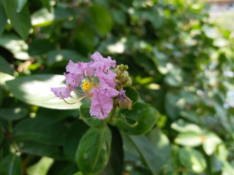 2020年三星note10+值不值得入手,三星新款手机值得买么