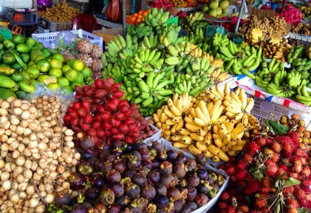 柬埔寨必去景点推荐,柬埔寨旅游必去的九大绝佳景点