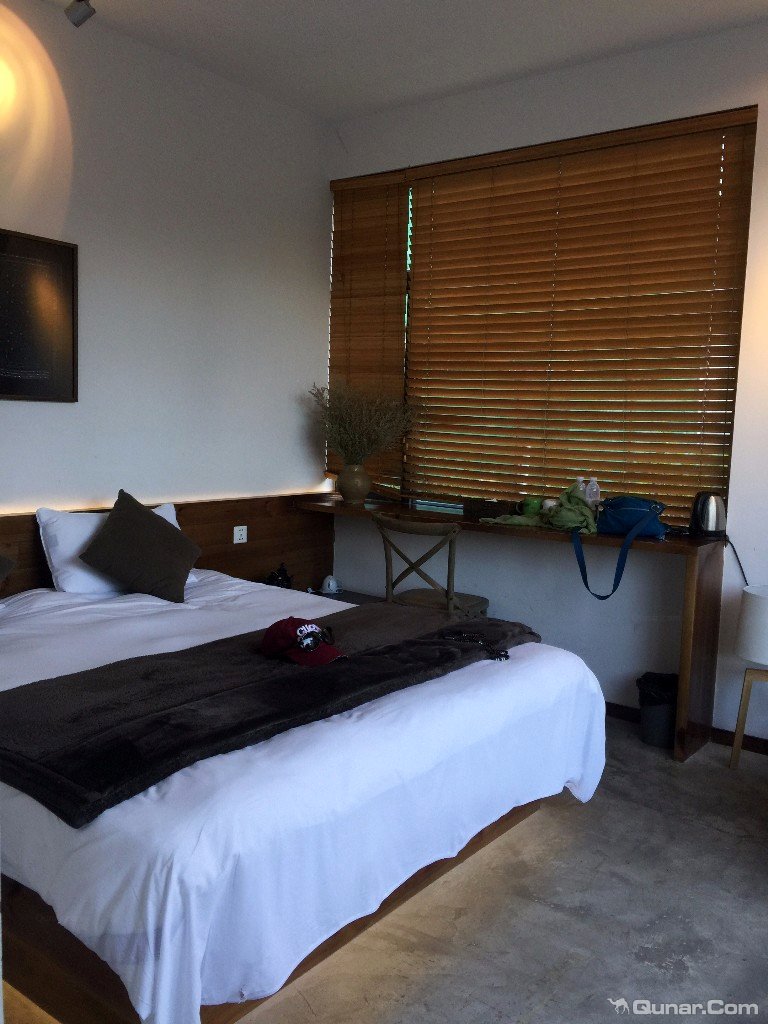 大理无花果好去处,大理路边大叶无花果