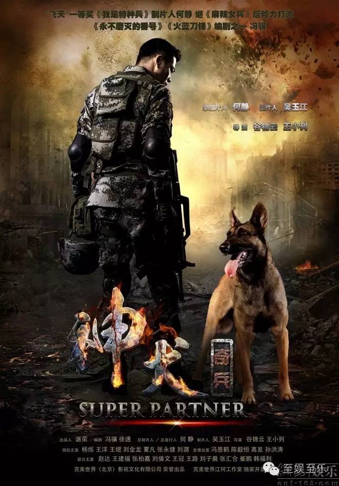 前方萌宠来袭！这些大陆宠物剧你都看过吗？