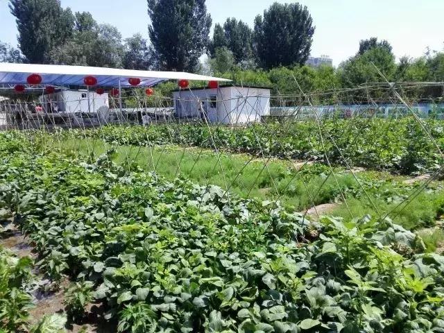 12星座的专属餐厅,保定人的早餐食谱大全