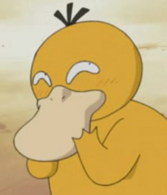 鸭子抽象思维,鸭子似乎是一种很傻的动物吗