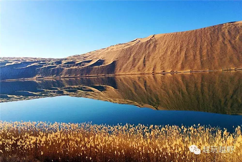 不曾停驶的途乐，王者归来？