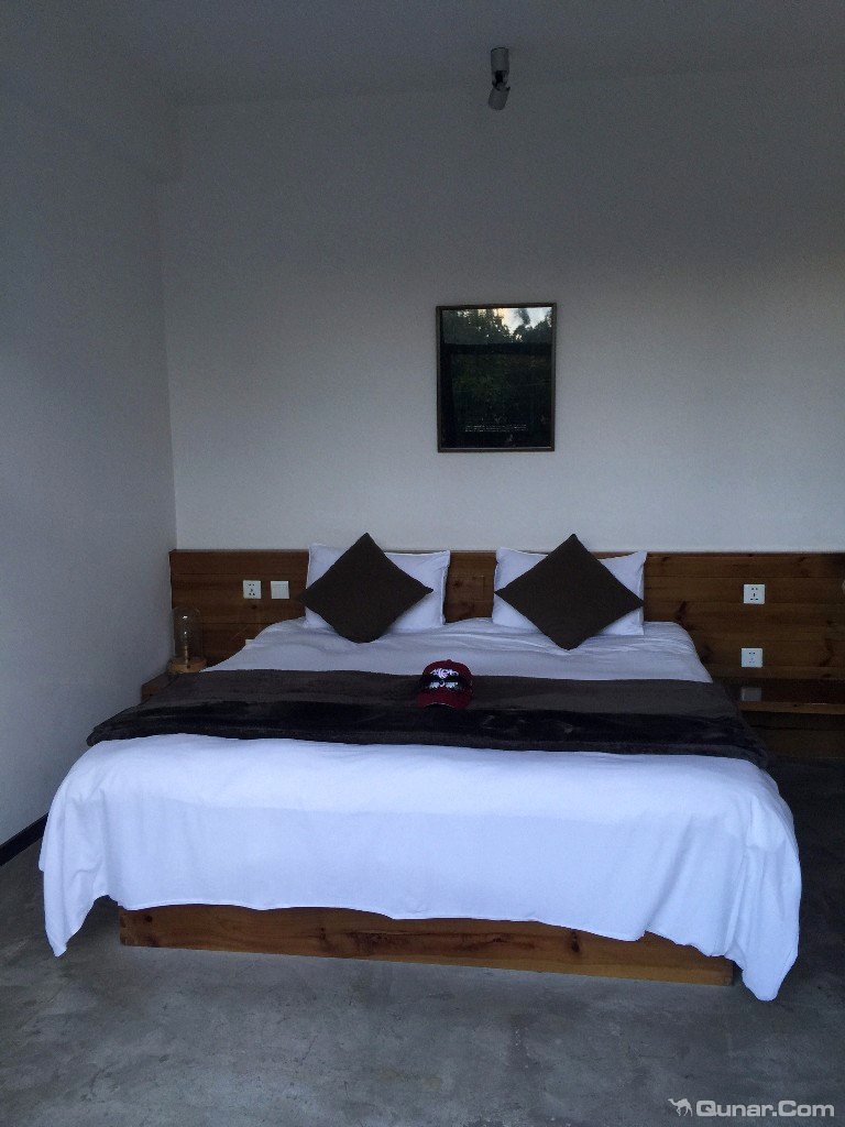 大理无花果好去处,大理路边大叶无花果