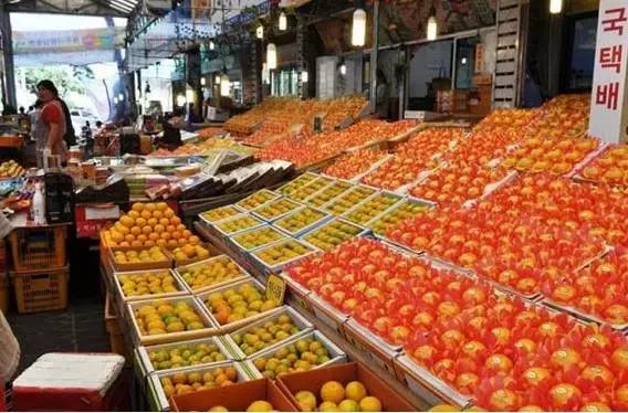 韩国济州岛一个人攻略,韩国济州岛旅行视频