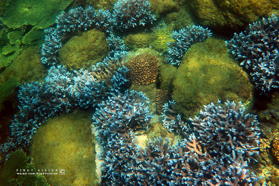 travel环球旅行,travel新旅行