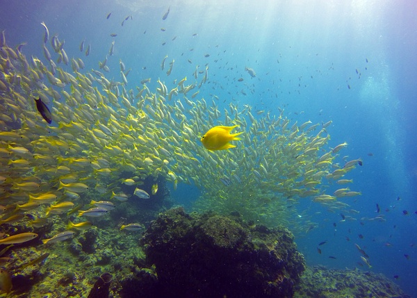 泰国普吉岛海景旅游攻略,安达曼海上的一颗明珠