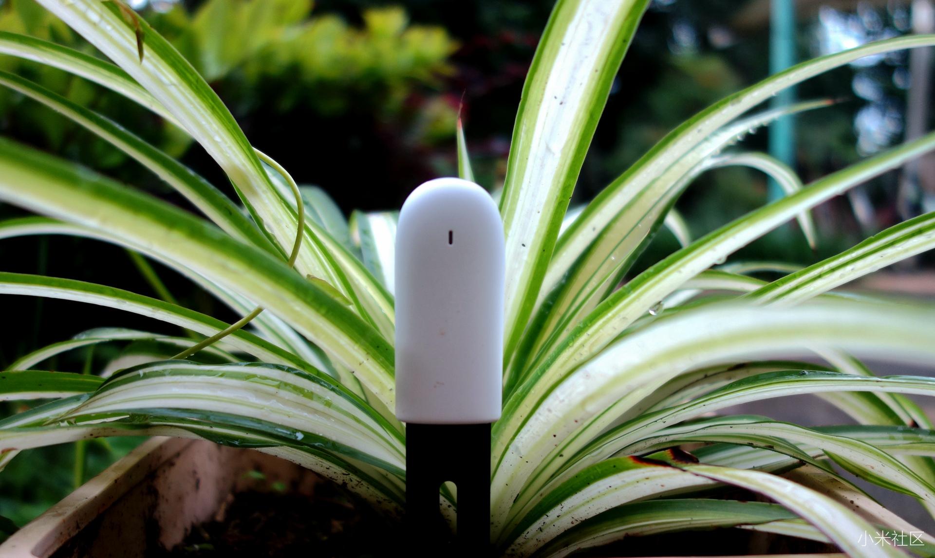 种花检测仪哪种好,花草检测仪好用吗