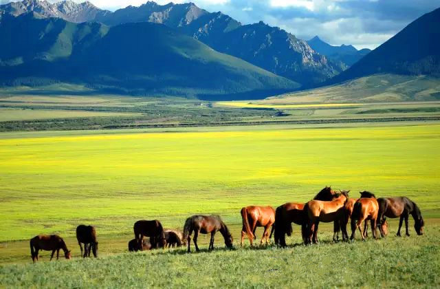 一起去大西北流浪,一起去大西北沙漠