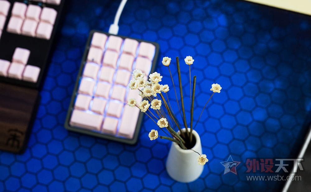 豪物图赏壕好玩，壕过瘾。aboStudioGACnum数字外壳分享