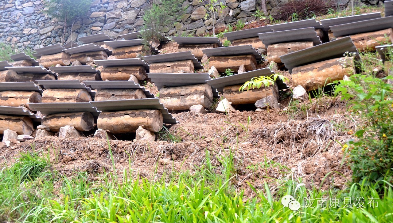 古村焕新颜，乡愁留心间