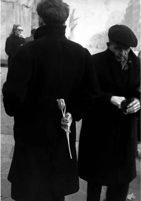 我们确曾用玫瑰做了些美好的事情