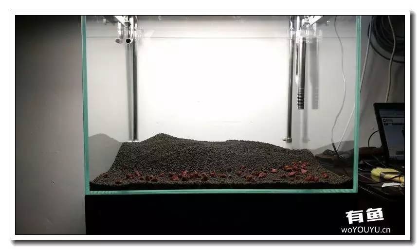 新手小白原生缸开缸教程,鱼缸怎么用高锰酸钾开缸详细教程