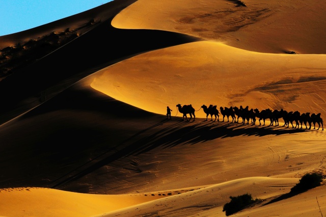 一起去大西北流浪,一起去大西北沙漠