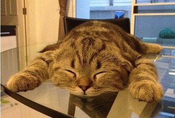 醉言醉语第八期：常被勿用的成语，帮您看一下身边谁最无知？