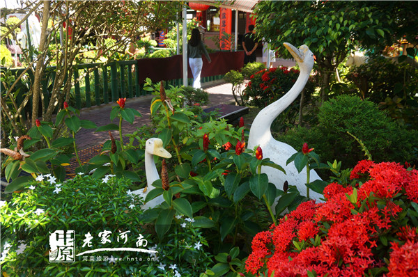 金秋沙巴游 (暑假去沙巴旅游攻略)