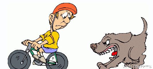 骑车遇到凶狗怎么办,户外遇到恶狗怎么保命