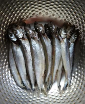 干煎多春鱼正宗做法,干煎多春鱼