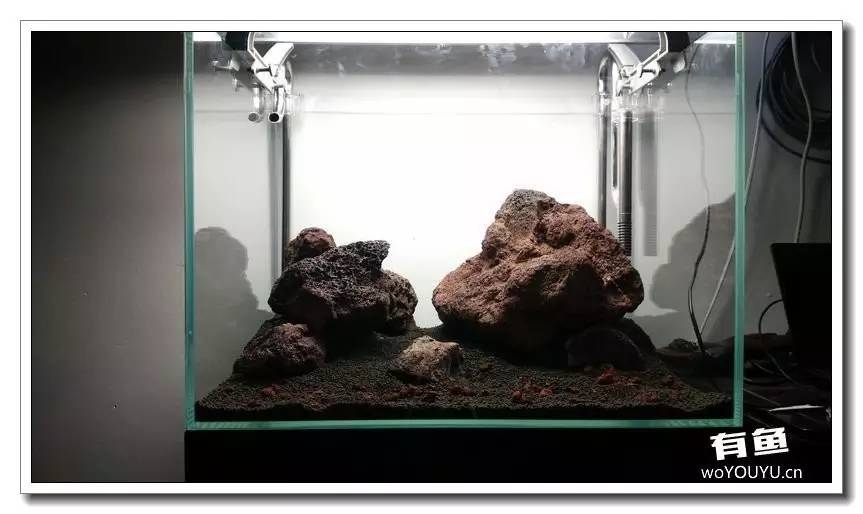 新手小白原生缸开缸教程,鱼缸怎么用高锰酸钾开缸详细教程