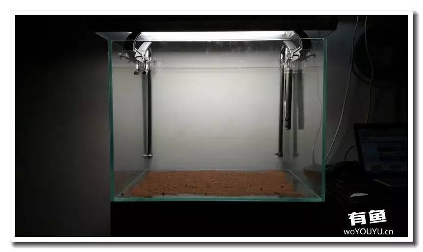 新手小白原生缸开缸教程,鱼缸怎么用高锰酸钾开缸详细教程