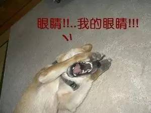 1300元闪卡,闪卡10元30元50元的区别