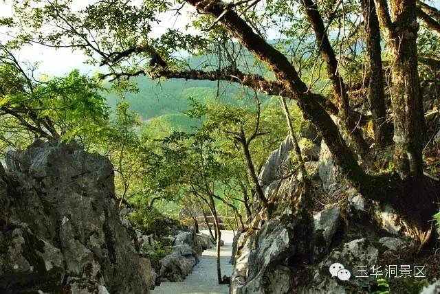 毕业旅游江西,毕业旅行去福建哪里旅游