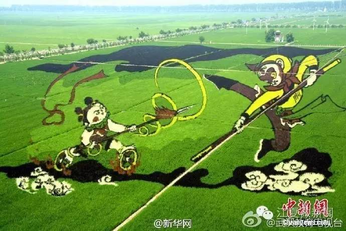 王清华与陈邂馨,陈邂馨东西湖