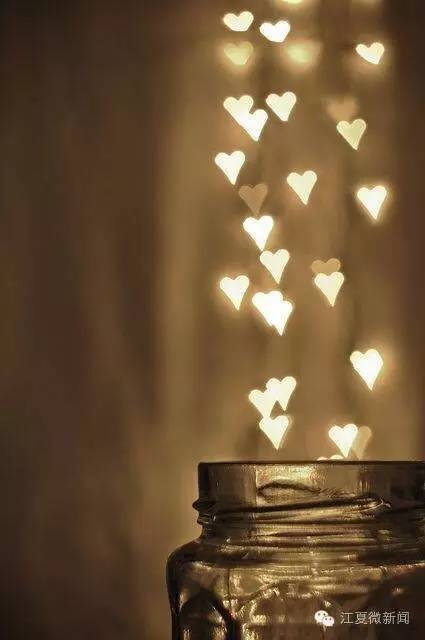 王清华与陈邂馨,陈邂馨东西湖