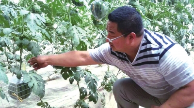 榆中县：果蔬上“云端”农民收入翻了番