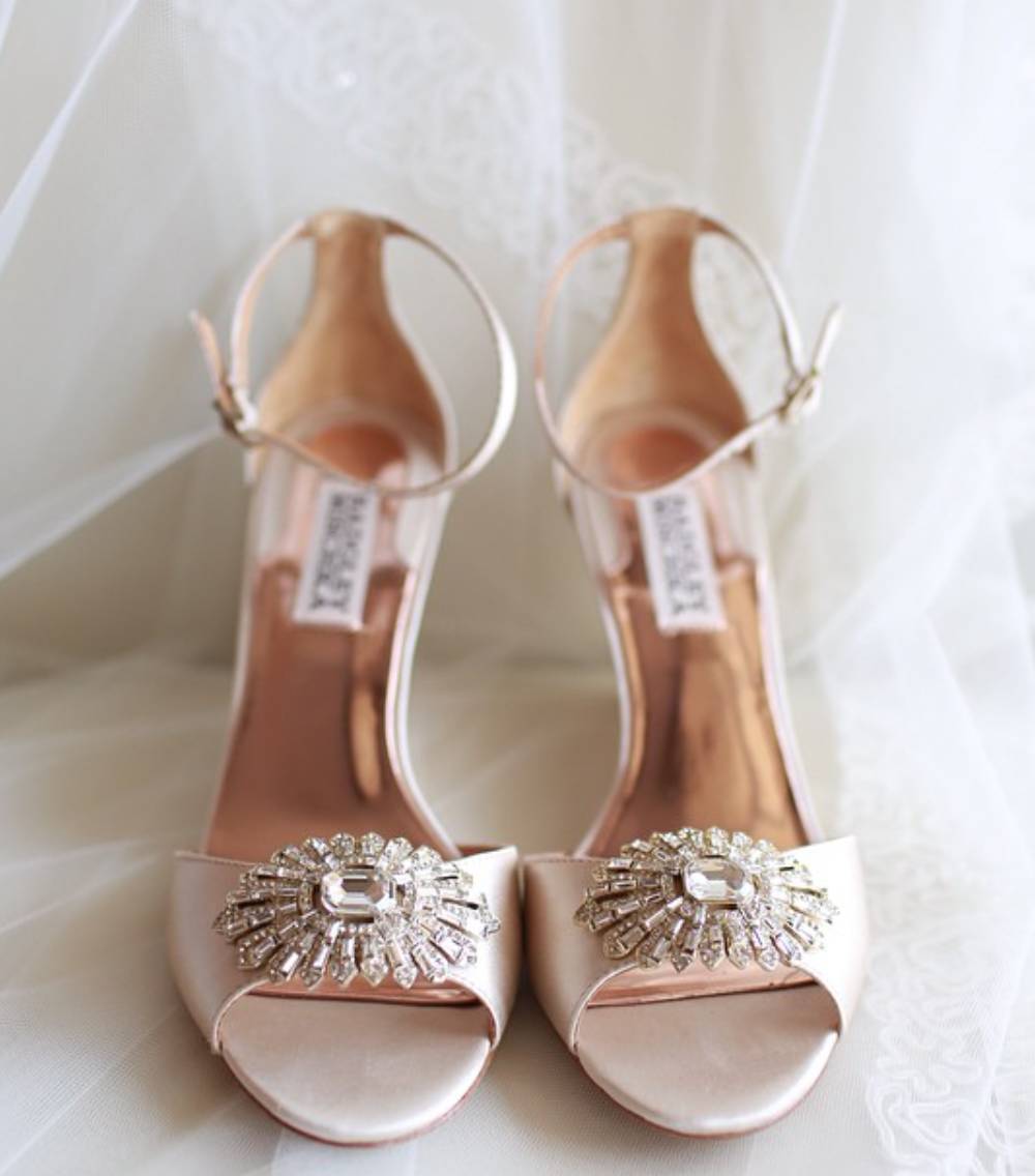 娱乐圈的虐狗行为,娱乐圈虐狗事件