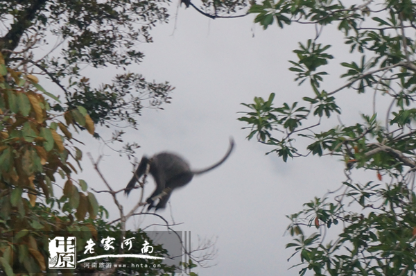 玩美假期马来西亚旅游,六日沙巴自由行攻略