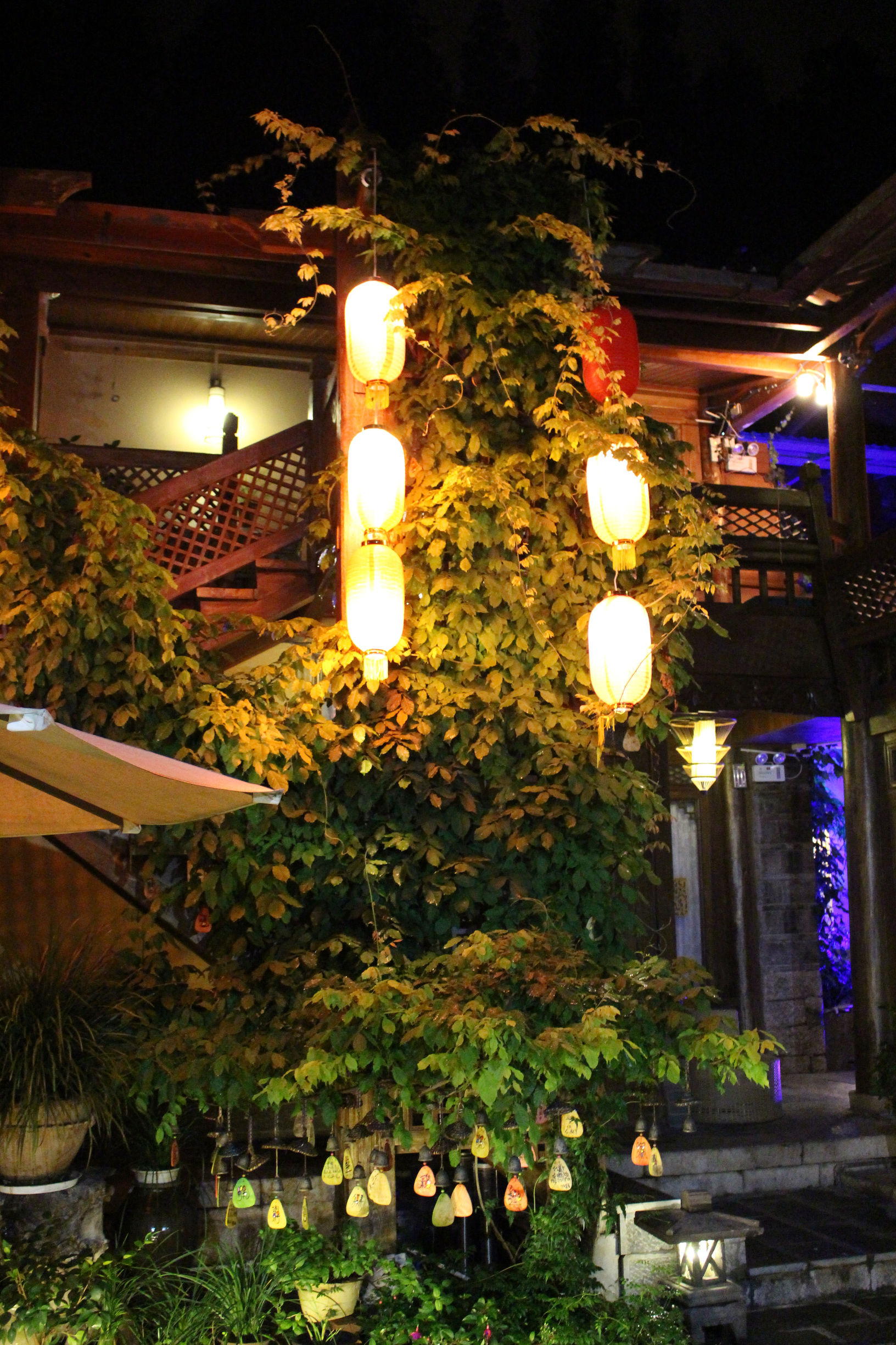 忘记艳遇，百变丽江，仅用一天，赴那千年之约