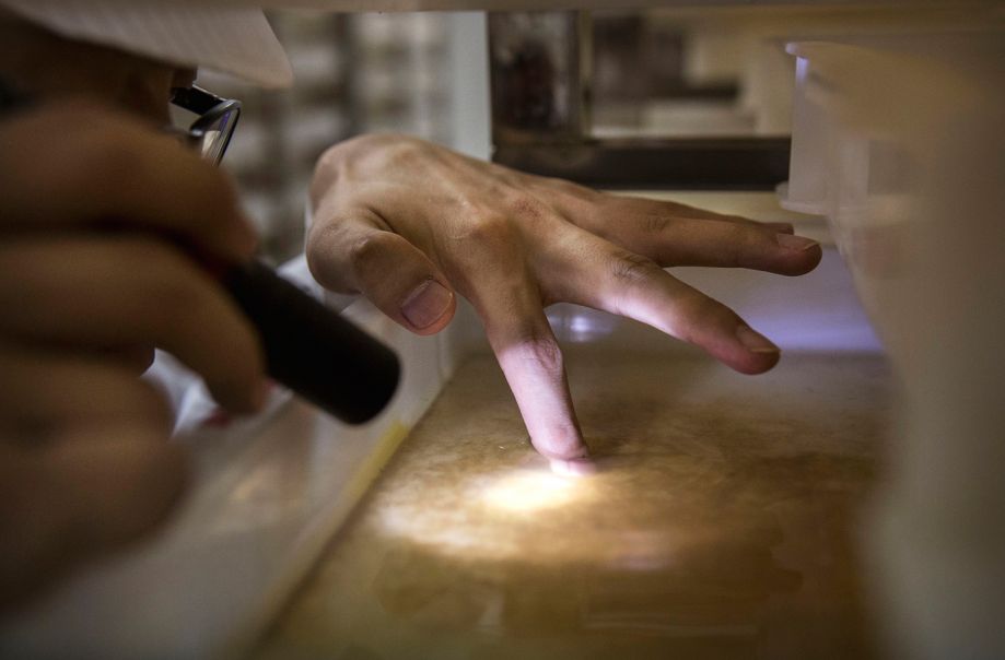 科学家尝试给蚊子做绝育,如何给一只蚊子做绝育