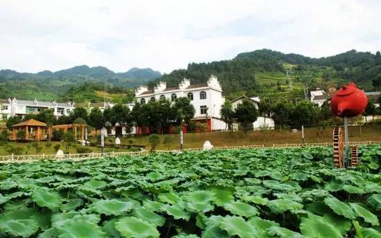 陕西100个示范村名单 (陕西省级示范村名单)