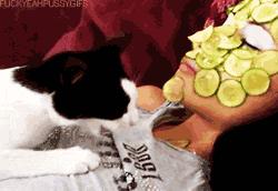 便宜又实惠好用的面膜,平价又实惠面膜