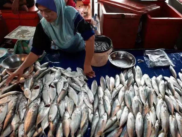 仙本那的海洋旅游,仙本那的海水比三亚好多了