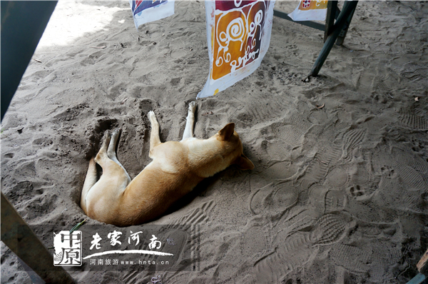 金秋沙巴游 (暑假去沙巴旅游攻略)