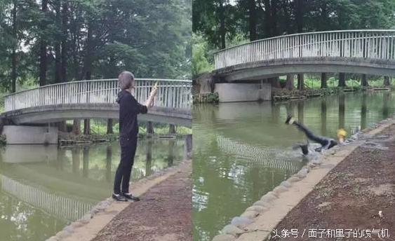 世界有名的“宅”日本，这几天都跑大街上，听说很多躺医院去了！