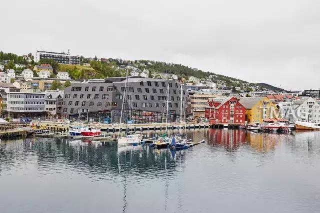 北欧看鲸鱼极光,看极光追逐鲸鱼