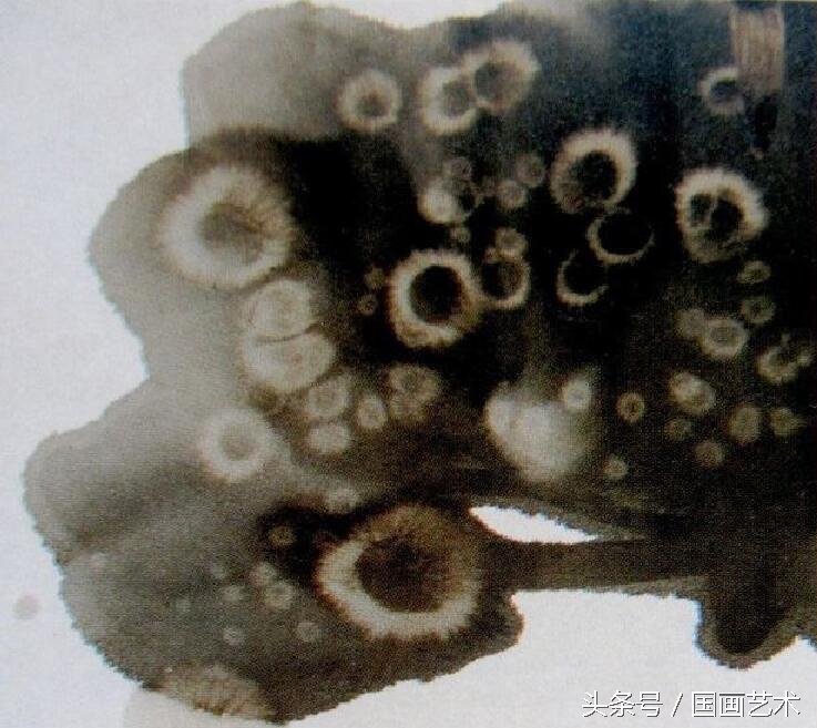 国画学习教程视频,国画学习零基础学国画入门教程