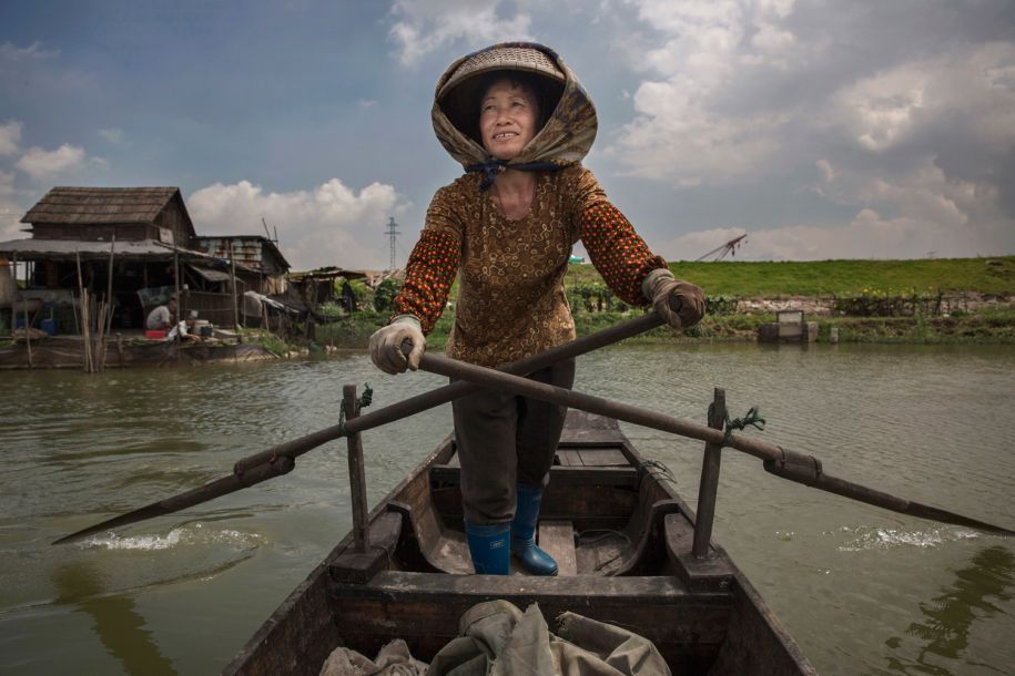 科学家尝试给蚊子做绝育,如何给一只蚊子做绝育