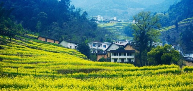 要想成为学习高手就要学什么,想成为高手该练几指操作