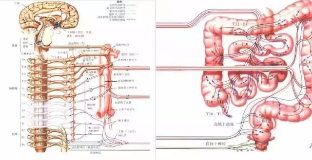 活人能让屎憋死吗,活人还能让尿憋死吗