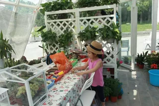 北京稻香湖景酒店儿童乐园,稻香湖欢乐岛温泉城堡儿童乐园