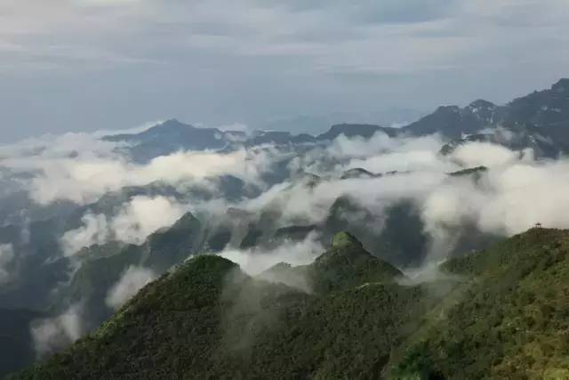 夏天天气这么热适合去哪儿玩,大暑去哪里玩比较凉快