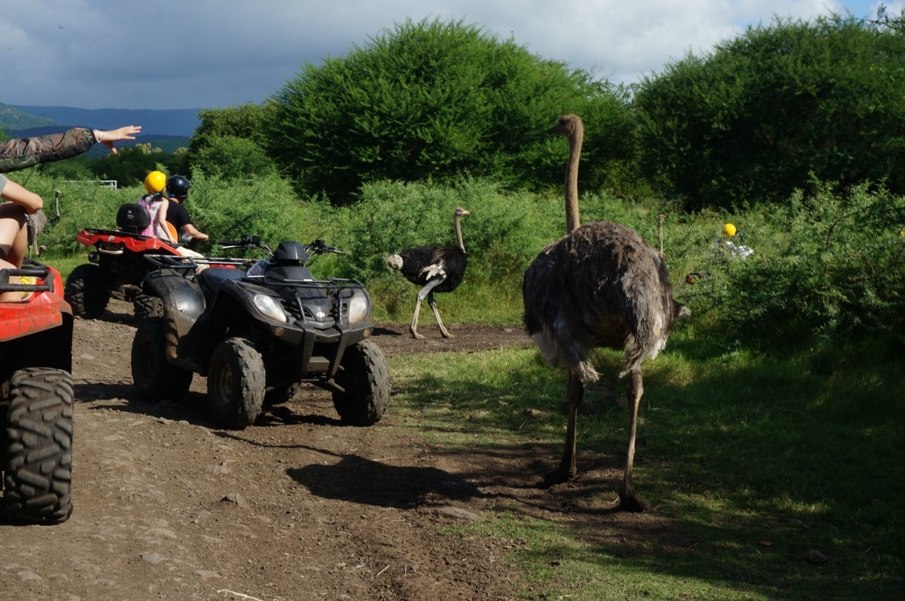 用耳朵旅行的财经主播Nina|全球空气质量最佳的天堂国度毛里求斯
